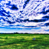 20210818_170955-7-2-2