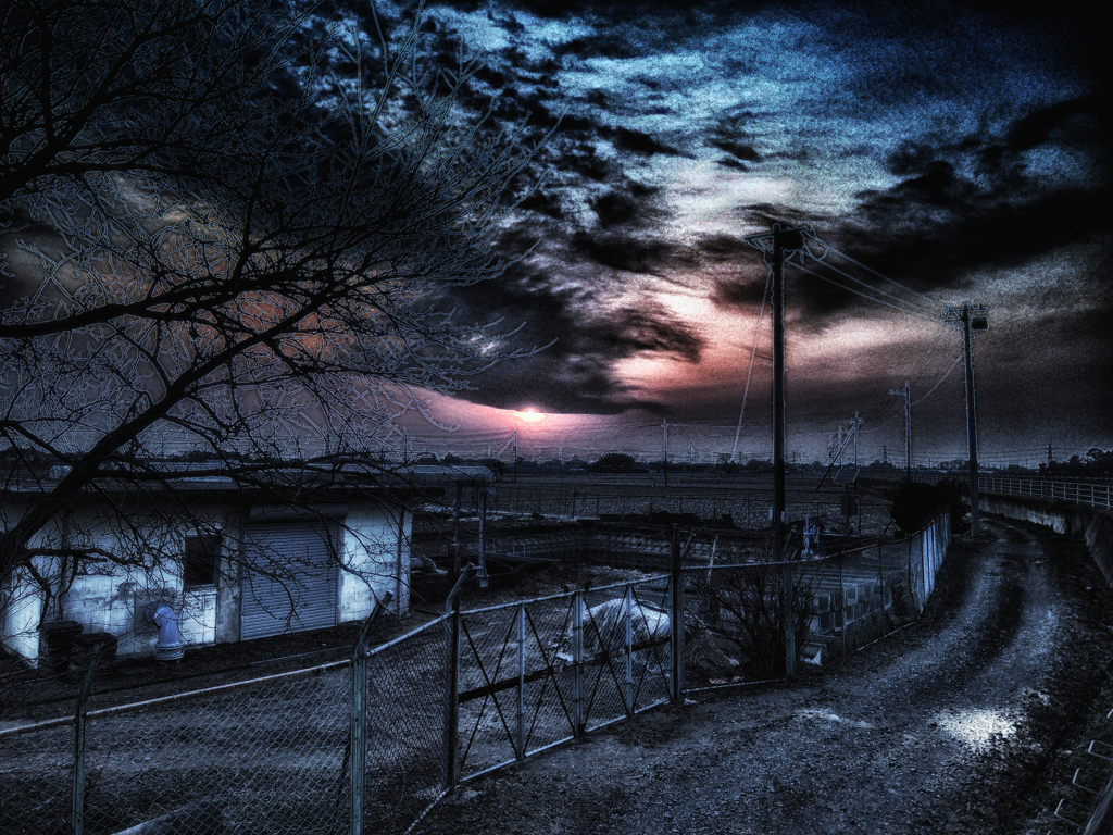 DSCN6833-5