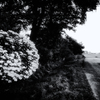 R0039131-3-2-21-3-21-2-2s1