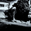 R0036771-3-3-2s1