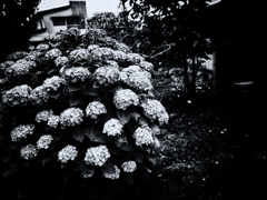 R0038079-1-3s1