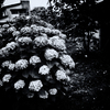 R0038079-1-3s1