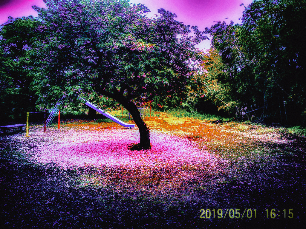 PICT0072-1-21-2-2-22