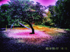 PICT0072-1-21-2-2-22