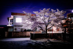 IMG_8876-2-2