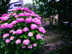 R0038079-1-3