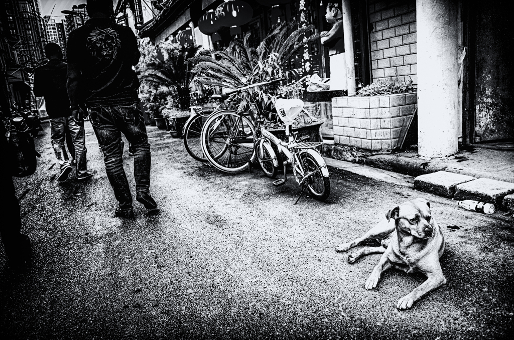 R0033395-1-2-21-2-4s3