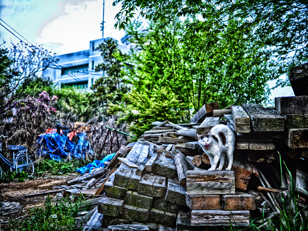 P1050760-111