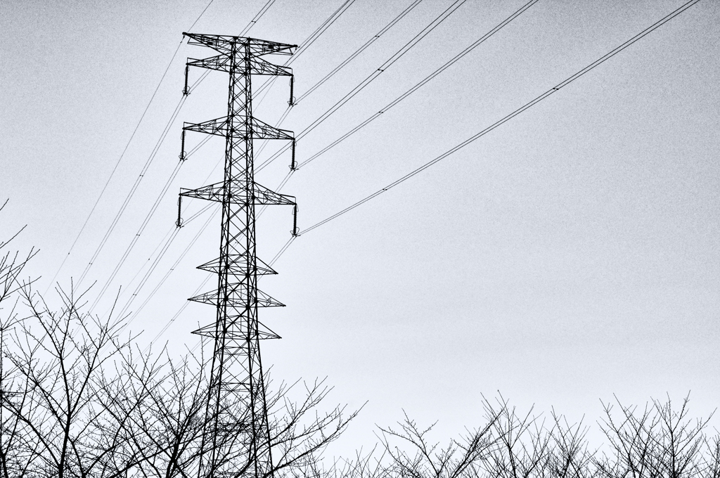 IMGP8609-s2