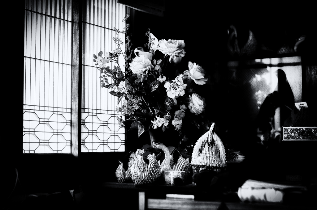 IMGP4039-7-2-2-2-2-2s1