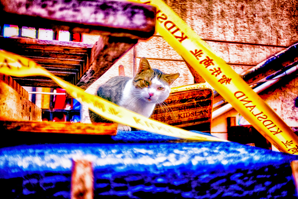DSCF4376-2-2-2-2