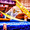 DSCF4376-2-2-2-2