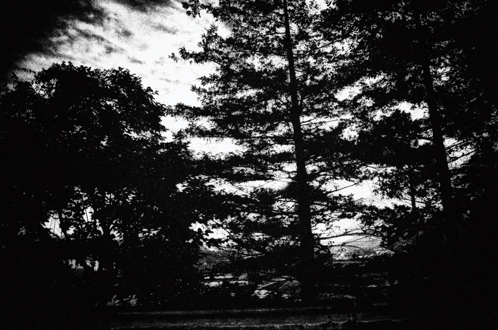 DSC_5766-3s1