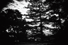 DSC_5766-3s1