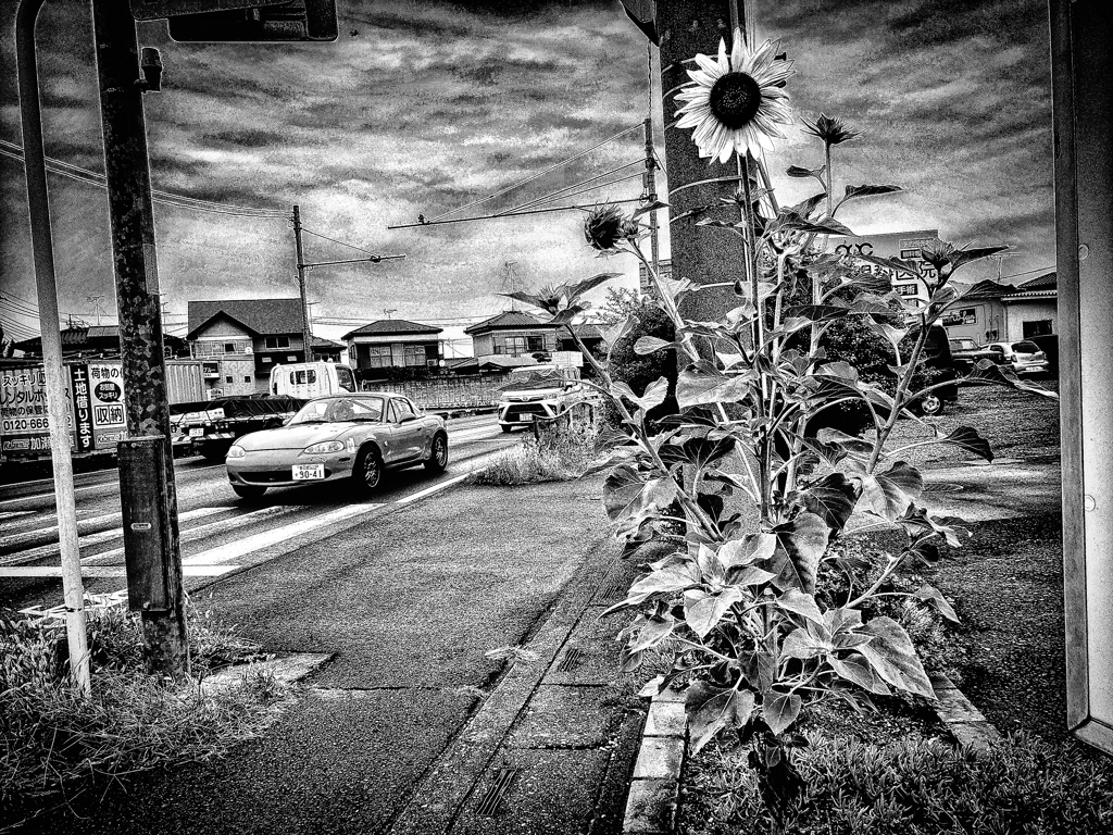 20231110_134808-2-3-4-3-2