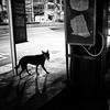 IMG_2266-5