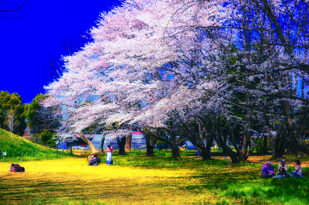 DSC_4409-5-2-2-2-2-2-2-2-3