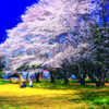 DSC_4409-5-2-2-2-2-2-2-2-3