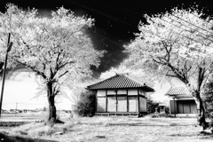 IMG_8724-4-2-22