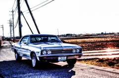 DSC_8725 (1)-1111