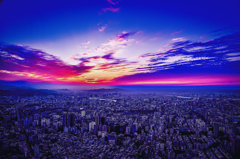 DSC_1738-3-2-2-4-2-3
