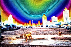 DSCF7171-1h