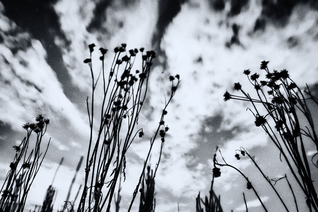 R0018201-3-3s2