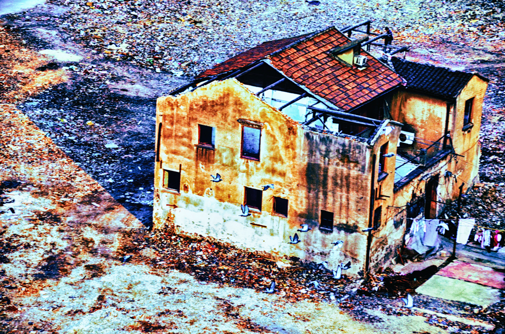 DSC_1931-3