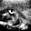 R0038847-1-2-2