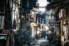 DSC_1622-2-2-2-2-2-2-2