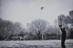 DSC_8100-2-3s1