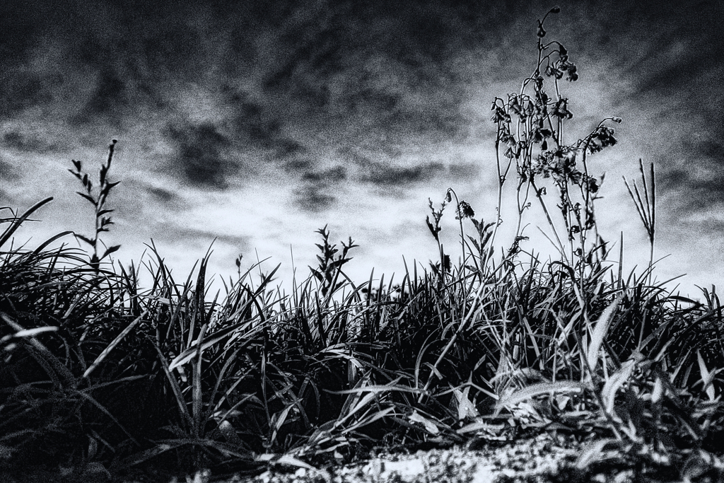 R0018760-2-2s2