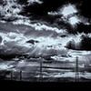 IMGP7883-21-2s1