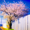 IMG_7550-5-2-2-2