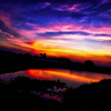 R0040079-4444 (1) (1) (1)