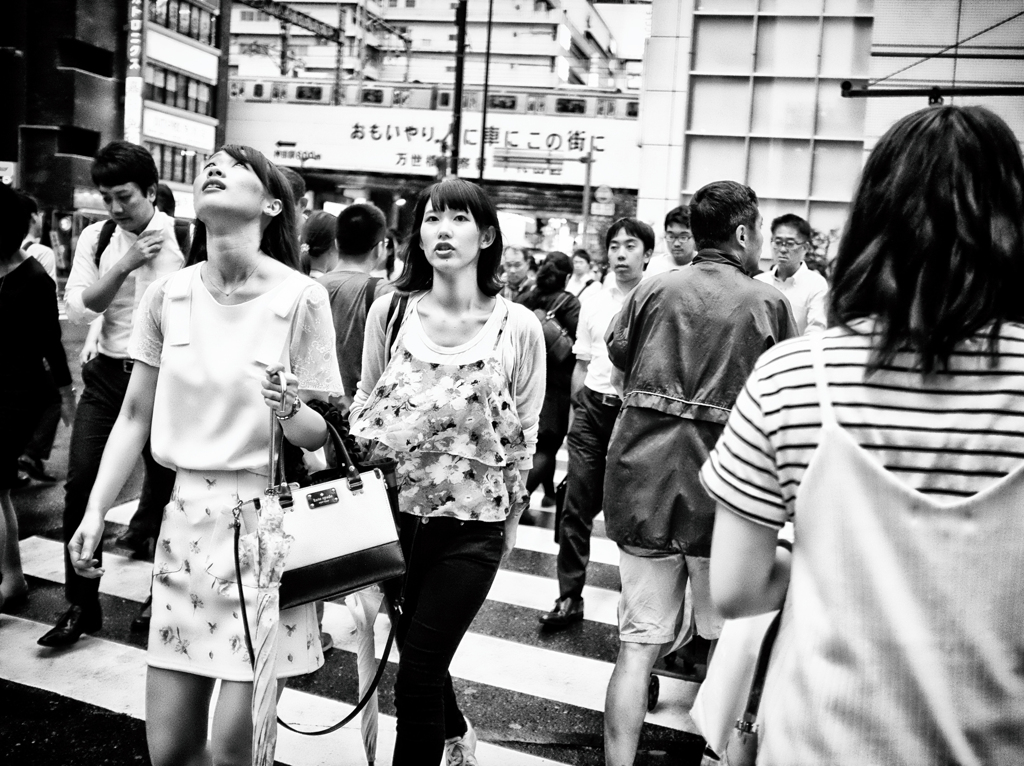 DSCF4534-111