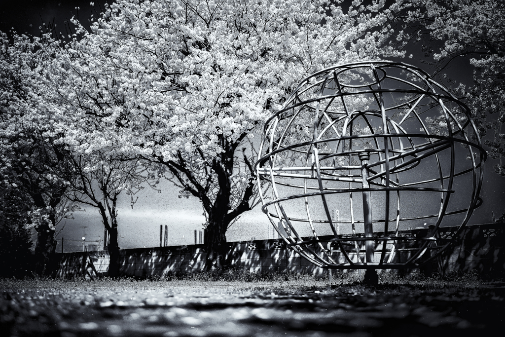 IMG_8125-1-3-6-2-3s1