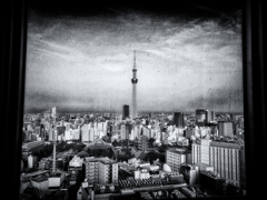 20210504_172037-3s2