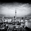 20210504_172037-3s2
