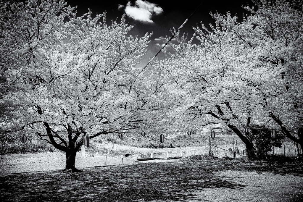 IMG_7756-2-2-3s1
