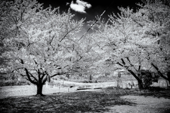 IMG_7756-2-2-3s1