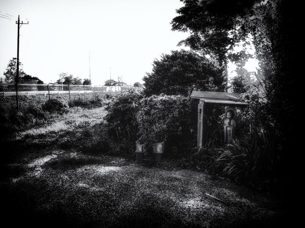 R0036778-1-32-2-2-6s1