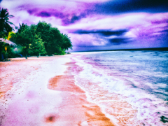 DSCF0134-6