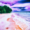 DSCF0134-6