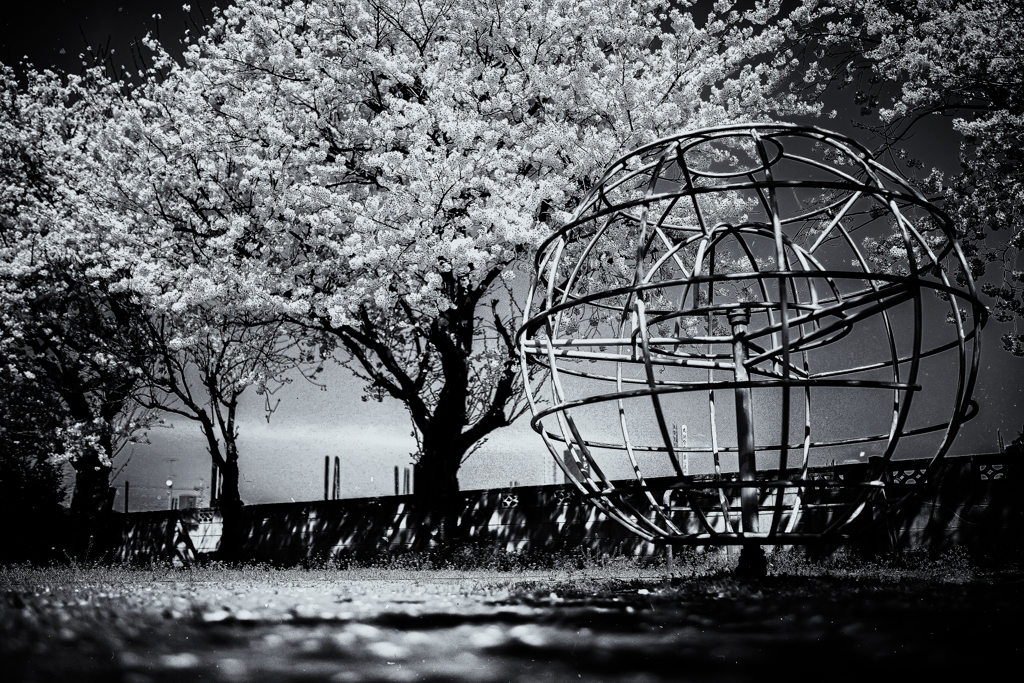 IMG_8125-1-3-6-2-3-3s3