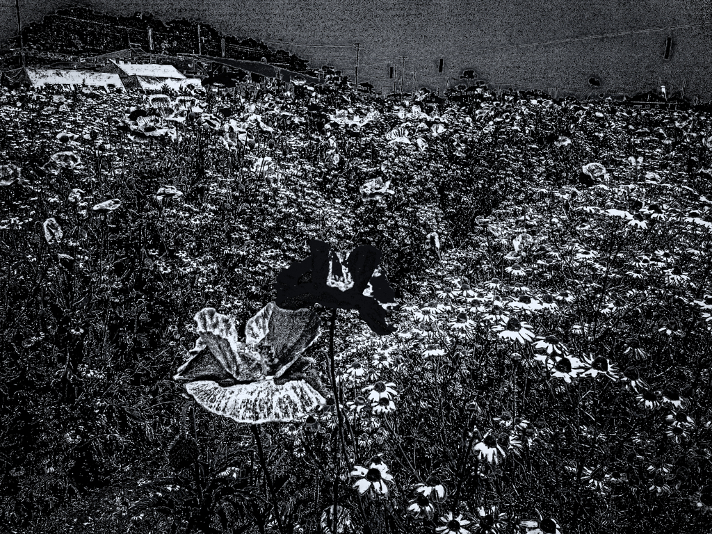 IMGP3952-2-4-2-2-3-2s1