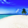 DSCF0082-5555