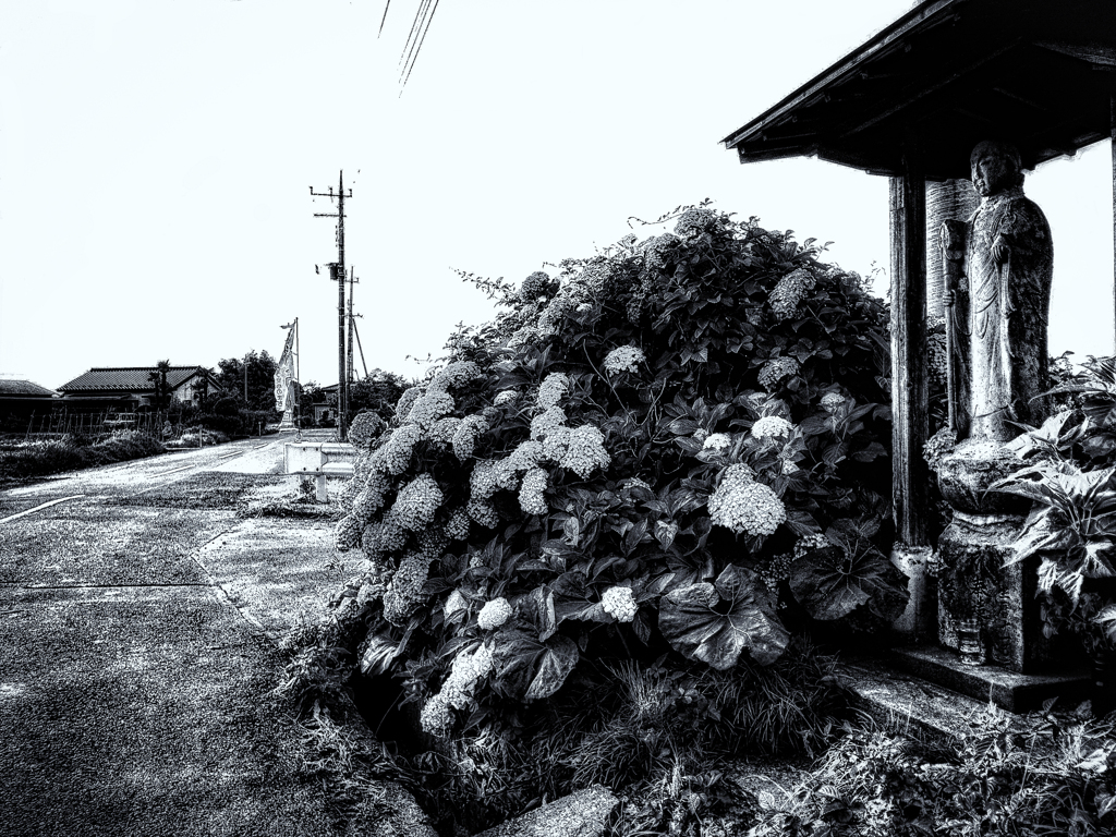 R0039001-3-2-41s2