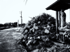 R0039001-3-2-41s2