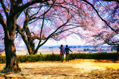 DSC_4618-3-2-2-2-2